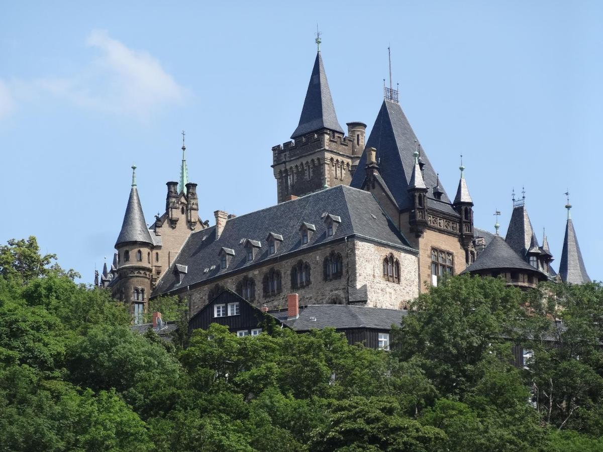 Unter Dem Lustgarten فيرنغروده المظهر الخارجي الصورة